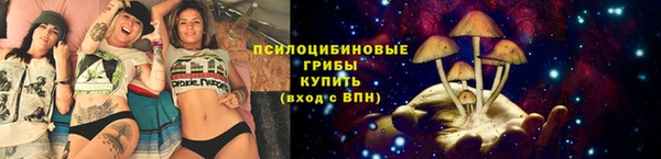 СК Богородицк