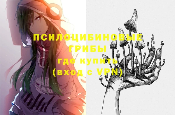 бошки Армянск