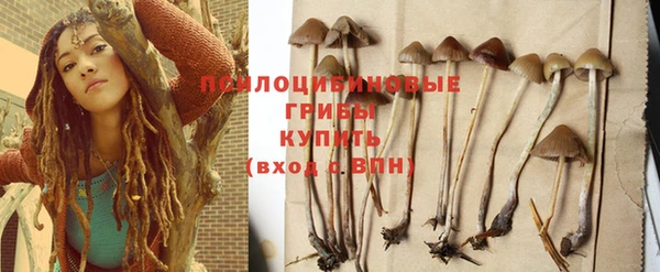 ALPHA PVP Богородск