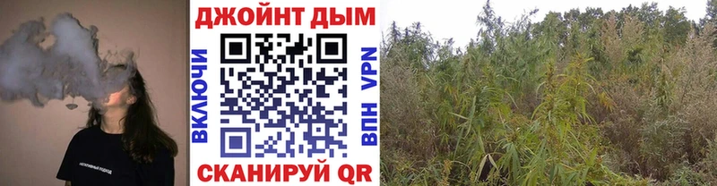 Канабис сатива  цены наркотик  Красный Кут 